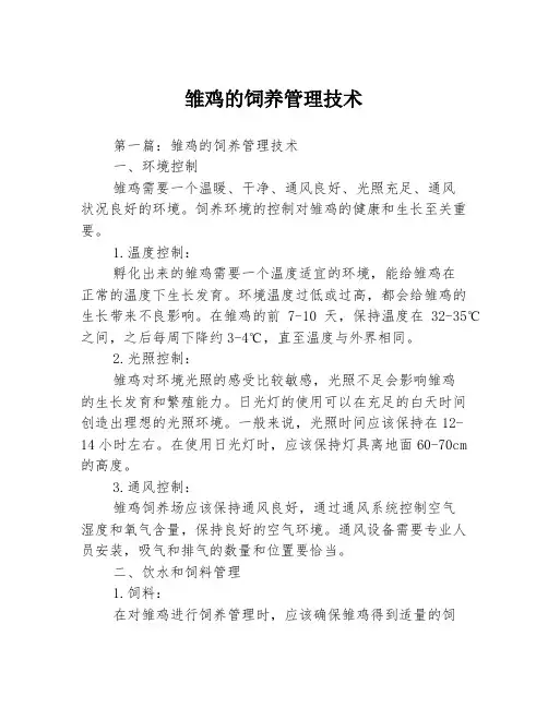 雏鸡的饲养管理技术