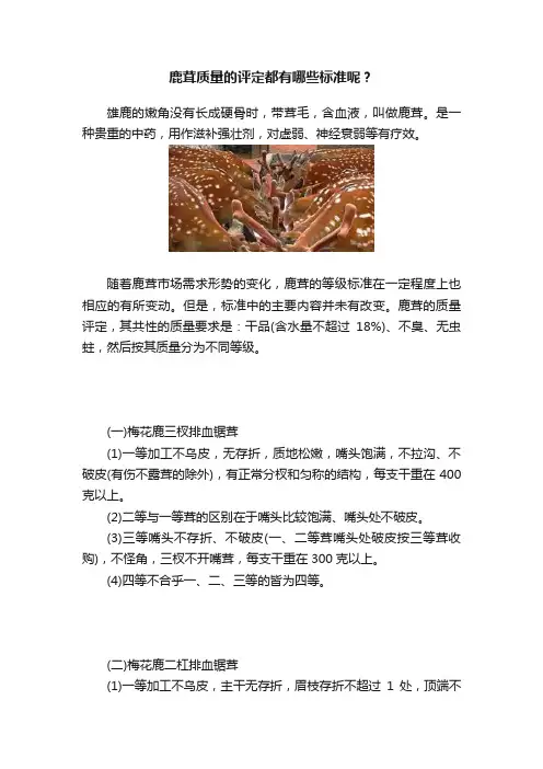 鹿茸质量的评定都有哪些标准呢？