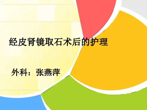 经皮肾镜术后的护理ppt课件