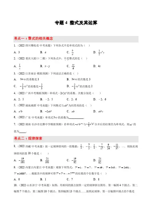 2023年中考数学考点讲练专题4 整式及其运算