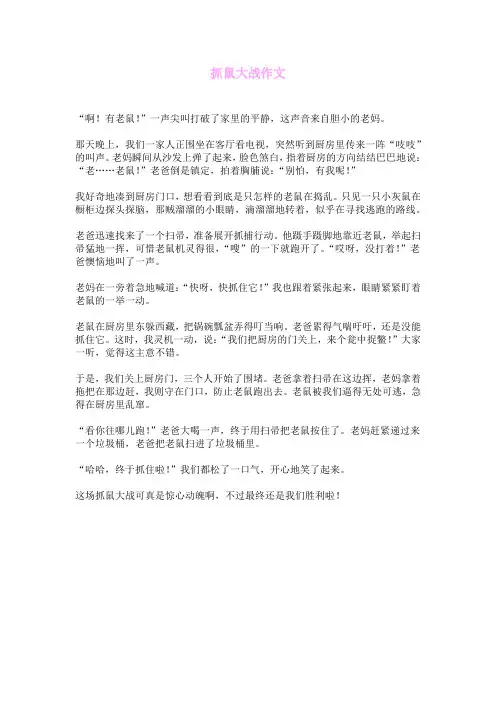 抓鼠大战作文