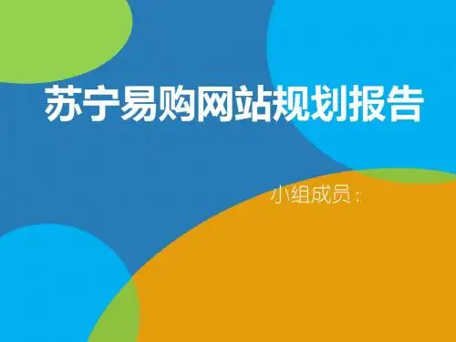 苏宁易购网站规划报告
