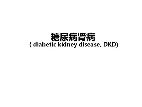糖尿病肾病 ppt课件