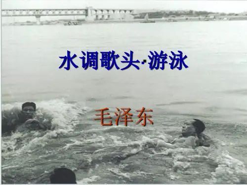 水调歌头游泳
