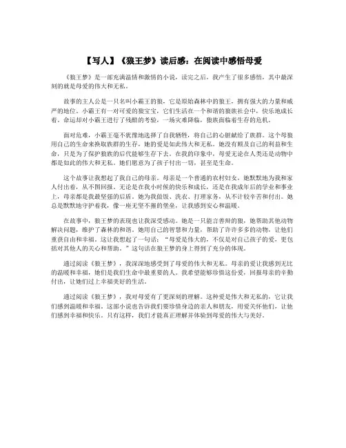 【写人】《狼王梦》读后感：在阅读中感悟母爱