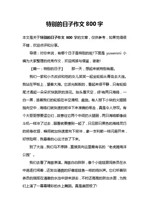 特别的日子作文800字