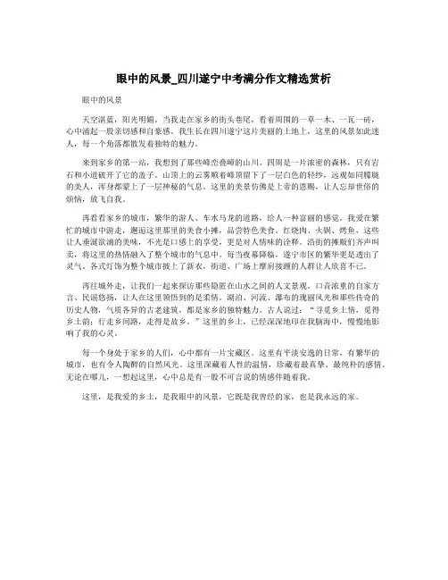 眼中的风景_四川遂宁中考满分作文精选赏析