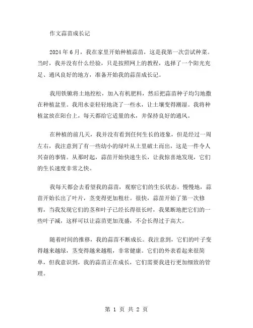 作文蒜苗成长记范文