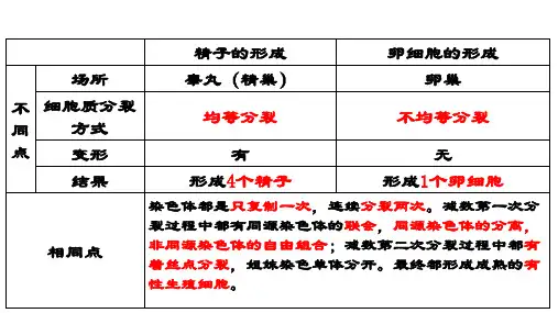 高中生物必修二前三章复习课件