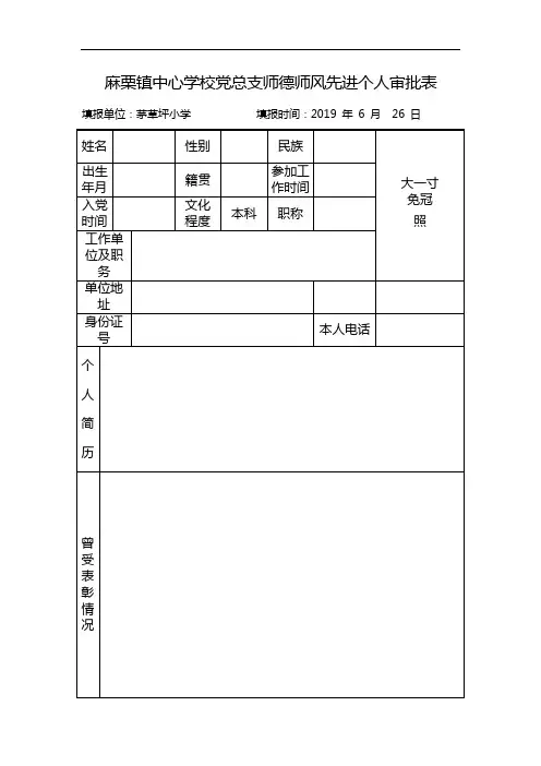 师德师风先进个人审批表