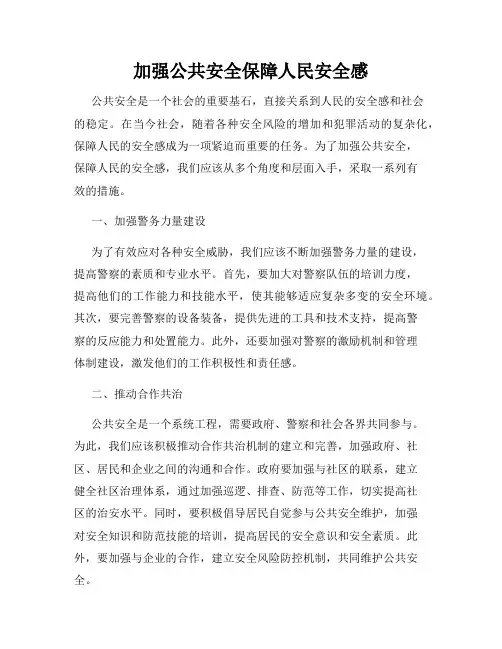 加强公共安全保障人民安全感