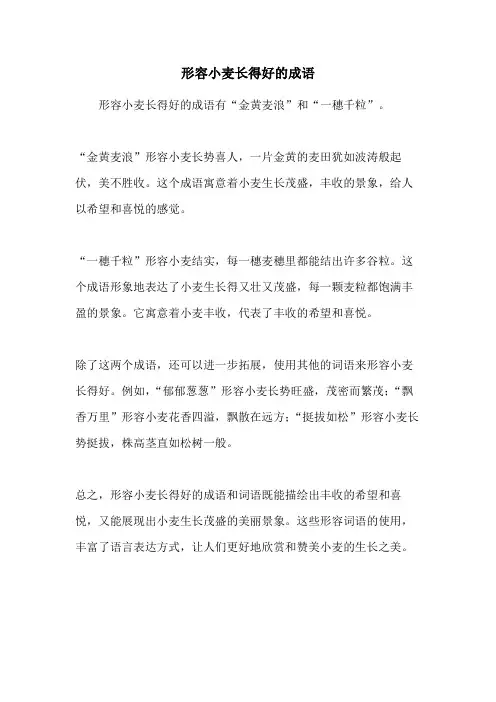 形容小麦长得好的成语