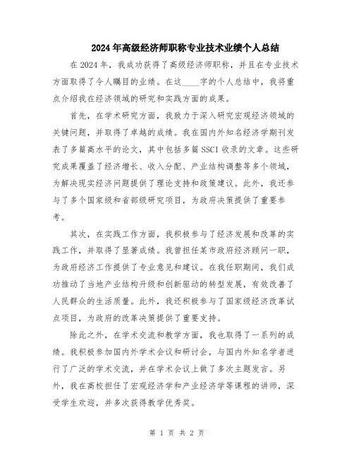 2024年高级经济师职称专业技术业绩个人总结
