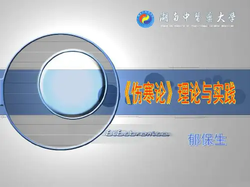 《伤寒论》理论与实践