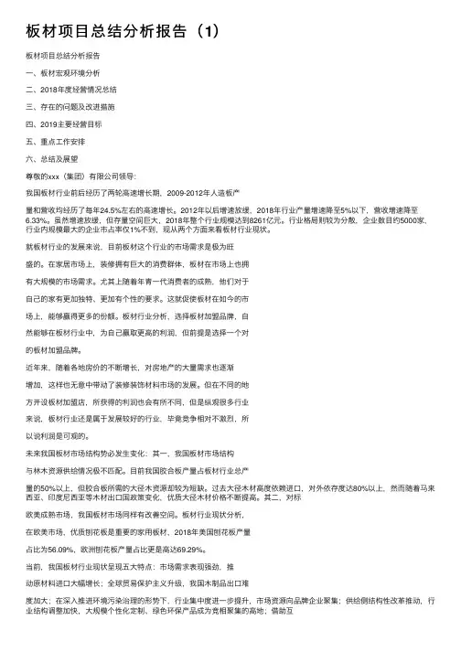 板材项目总结分析报告（1）