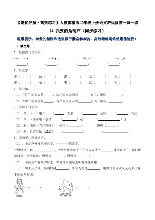有答案-人教部编版二年级语文上册14我要的是葫芦人教部编版
