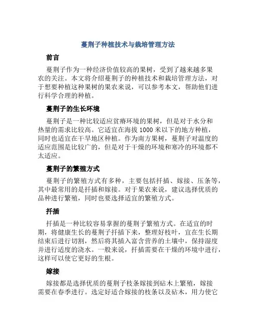 蔓荆子种植技术与栽培管理方法