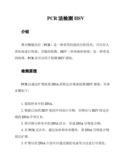 PCR法检测HSV