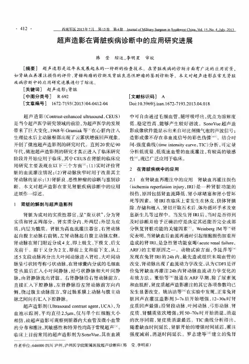 超声造影在肾脏疾病诊断中的应用研究进展