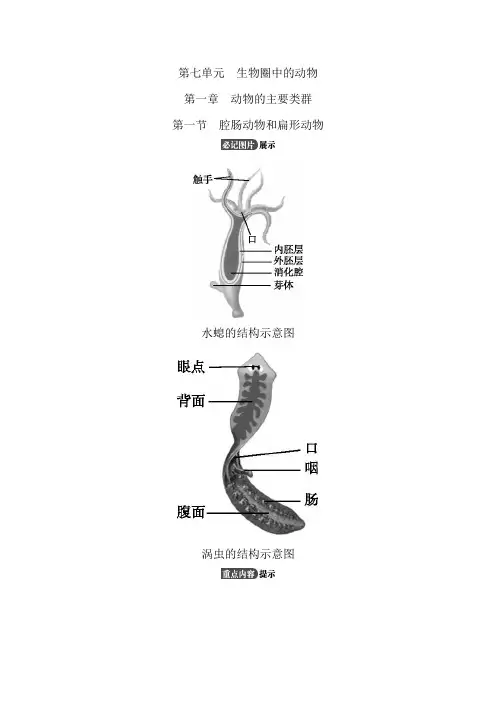 2023年生物中考复习鲁科版生物八年级知识点