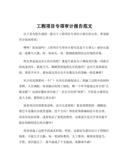 工程项目专项审计报告范文