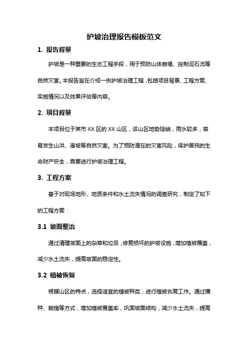 护坡治理报告模板范文