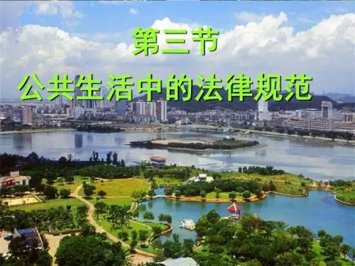 公共生活中的法律规范(精)