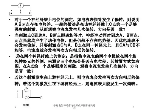 静息电位和动作电位形成原因和相关练习培训课件