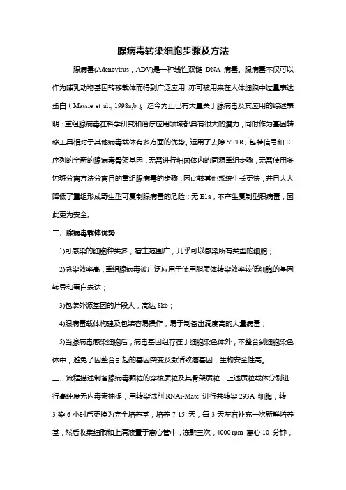 腺病毒转染细胞步骤及方法