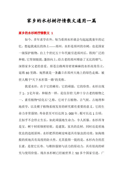 家乡的水杉树抒情散文通用一篇