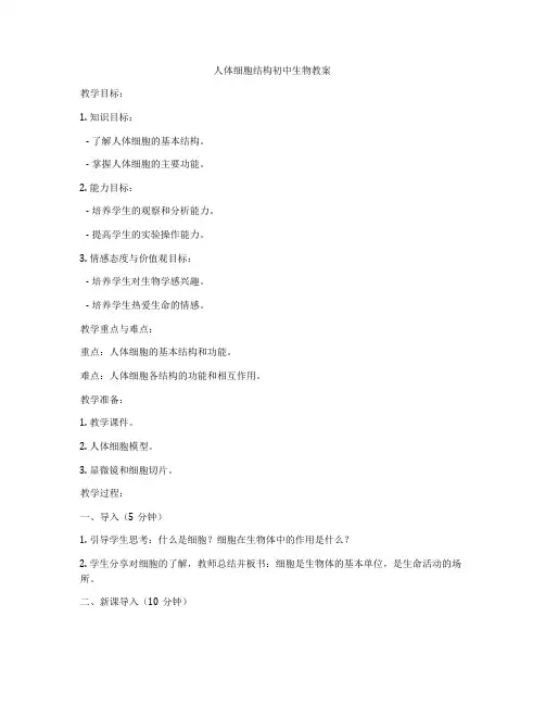 人体细胞结构初中生物教案