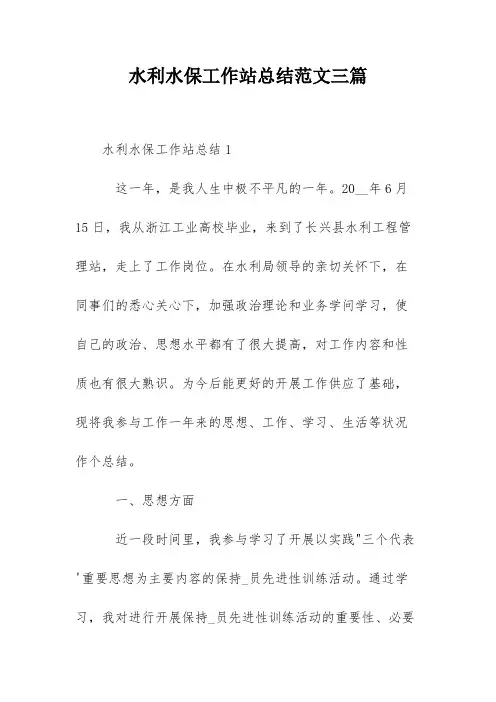 水利水保工作站总结范文三篇