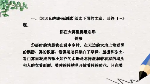 高考语文一轮总复习专题十二散文阅读4鉴赏形象技巧课后对点集训课件