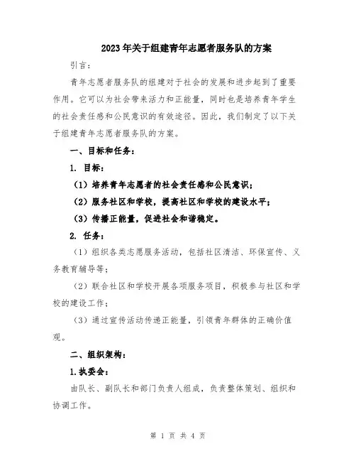 2023年关于组建青年志愿者服务队的方案