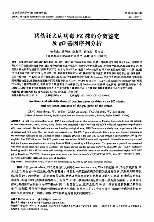 猪伪狂犬病病毒FZ株的分离鉴定及gD基因序列分析
