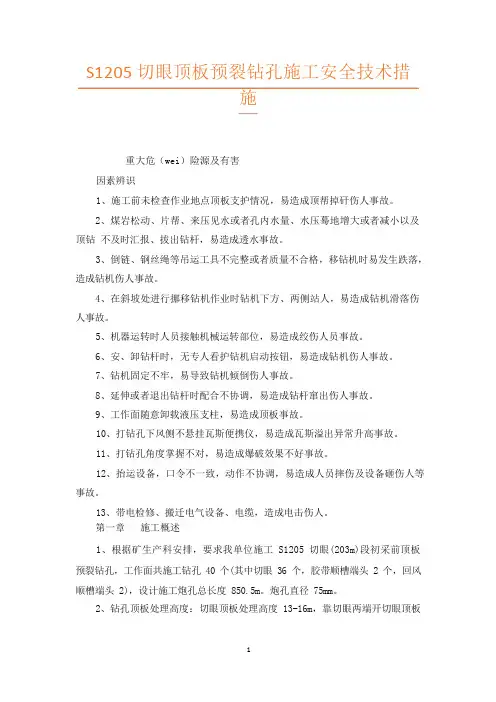 S1205切眼顶板预裂钻孔施工安全技术措施