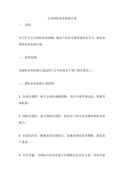 公司国际业务拓展计划  