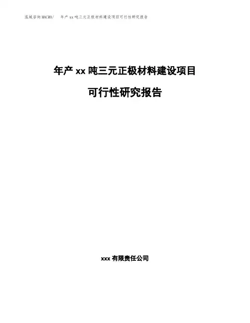 年产xx吨三元正极材料建设项目可行性研究报告