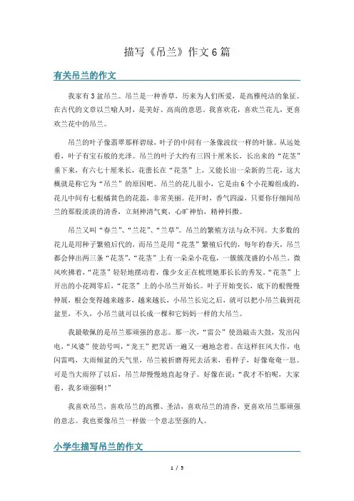 描写《吊兰》作文6篇
