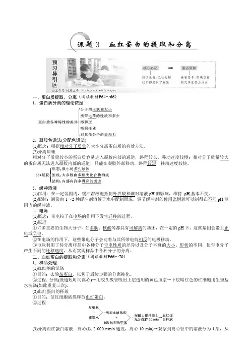 高二生物人教版选修一教学案：专题5_课题3_血红蛋白的提取和分离_word版有答案