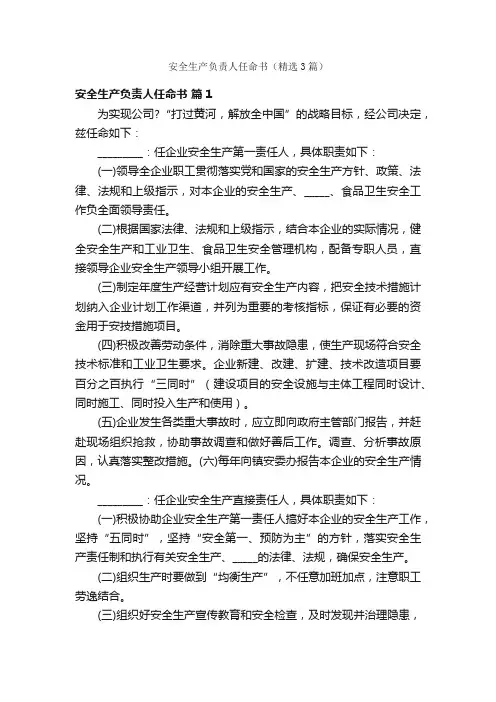安全生产负责人任命书（精选3篇）