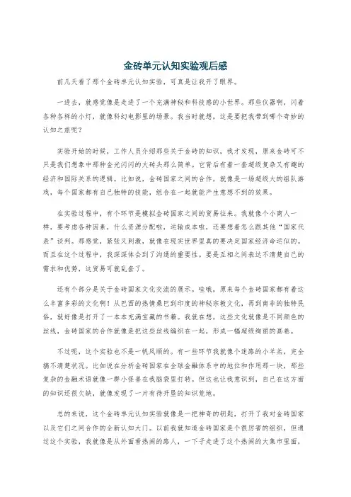 金砖单元认知实验观后感