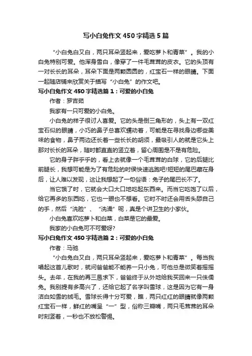 写小白兔作文450字精选5篇
