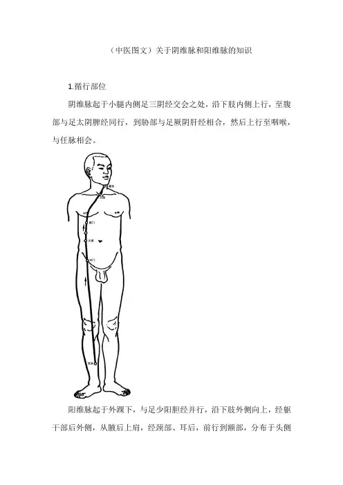 (中医图文)关于阴维脉和阳维脉的知识
