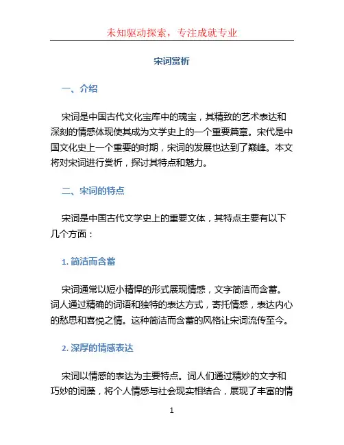 宋词赏析文档