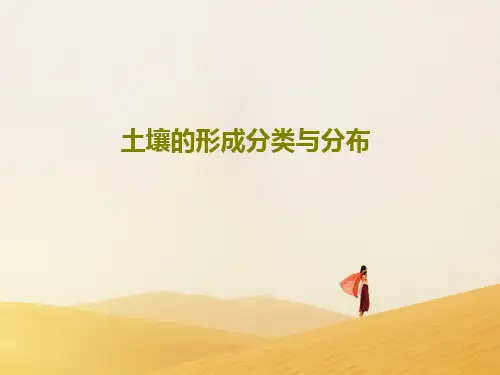 土壤的形成分类与分布50页PPT