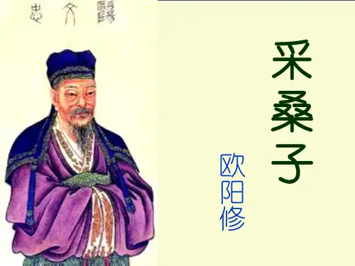 人教部编版八年级上册语文采桑子(轻舟短棹西湖好)课件 