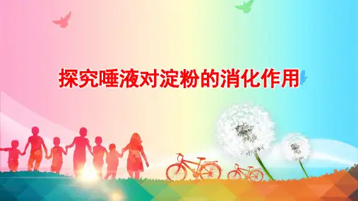 北师大版生物七年级下册 探究唾液对淀粉的消化作用(课件)(共13张PPT)