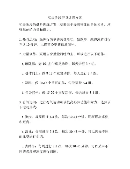 初级阶段健身训练方案