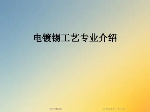 电镀锡工艺专业介绍